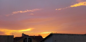 IMG_20151109_165719