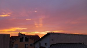 asfintit cu pasari