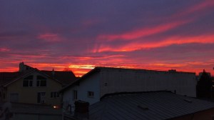IMG_20151109_170758