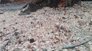 img_20161209_140518